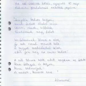 Bozsva_3_vendeg.jpg